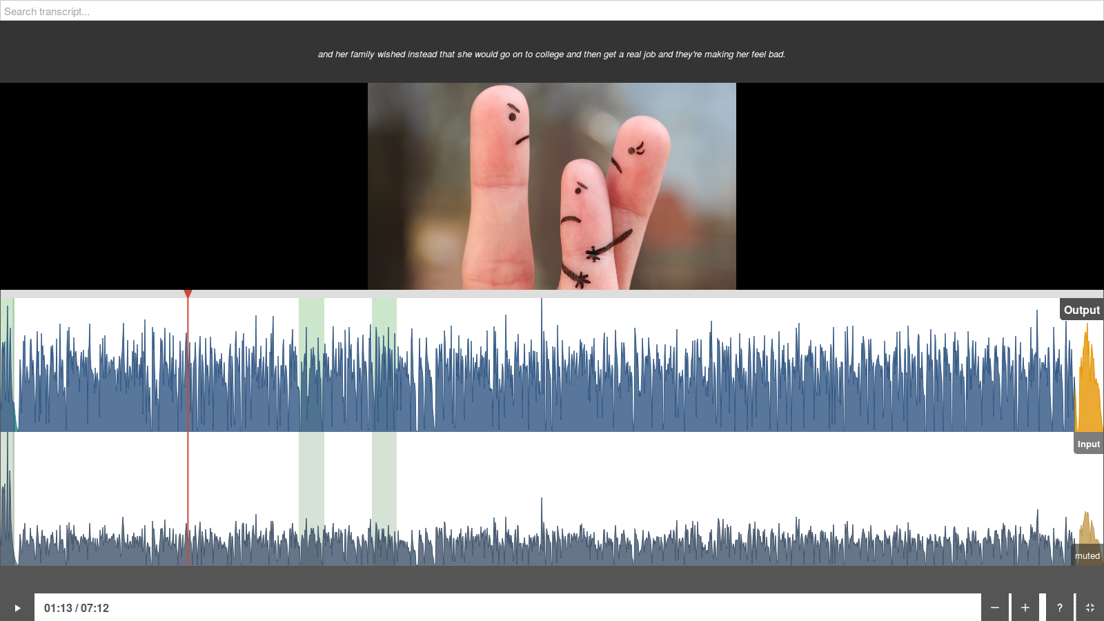 ../_images/inspector-video-fullscreen.png